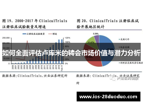 如何全面评估卢库米的转会市场价值与潜力分析
