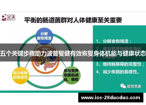 五个关键步骤助力波普复健有效恢复身体机能与健康状态